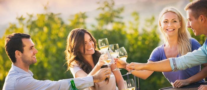 Niagara Winery Experience
