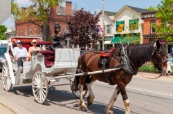 Horse drawn carriage 