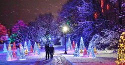 Winter Festival of Lights 