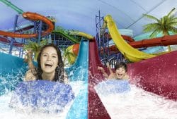 Fallsview Indoor Waterpark Racing Slides