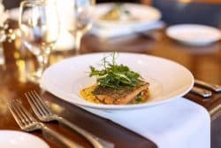 Niagara Culinary Experiences With Massimo Capra